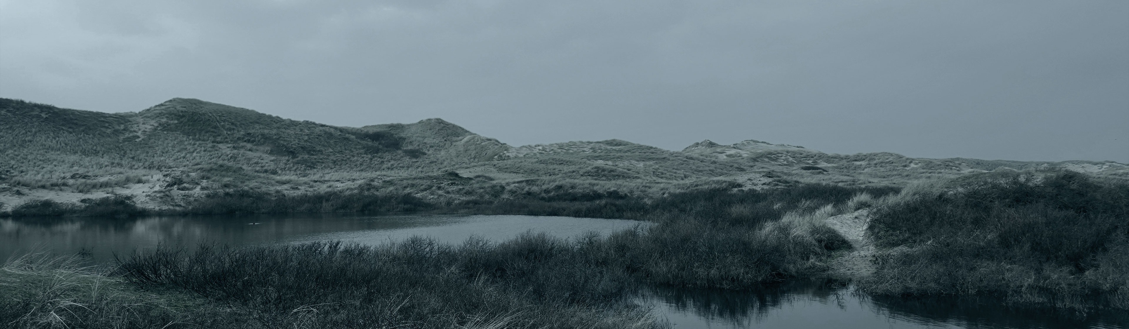 VAT Registration and VAT returns in the Netherlands