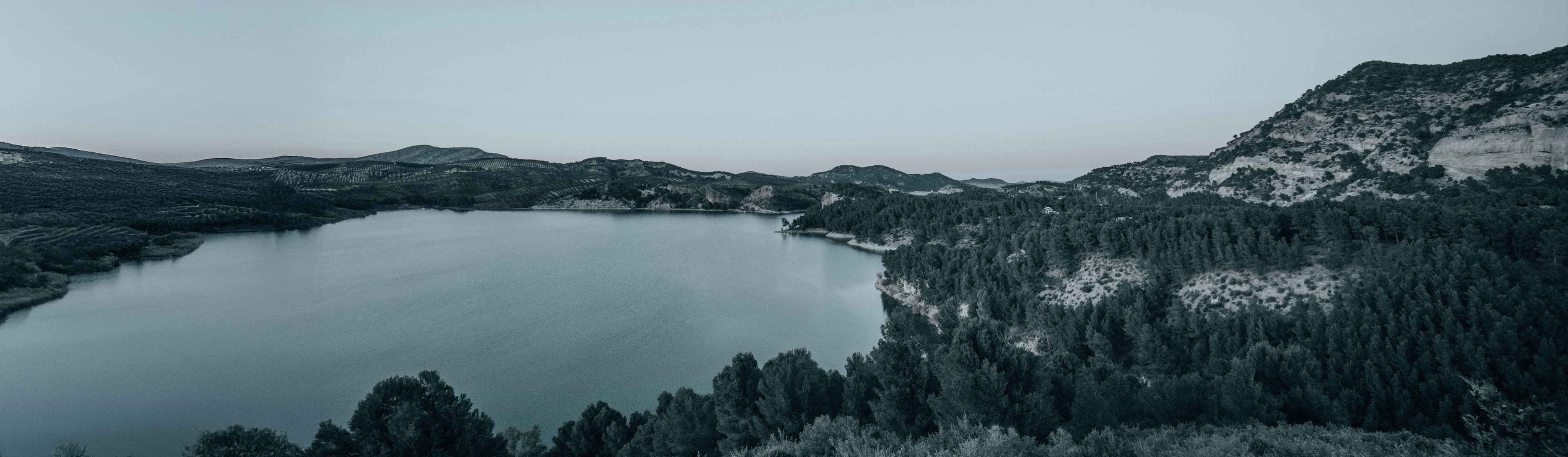 VAT Registration and Vat returns in Estonia