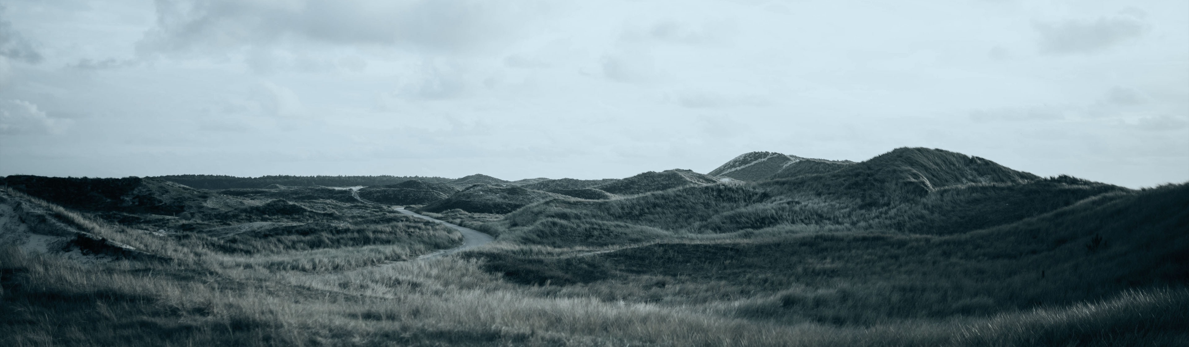 VAT Registration and VAT returns in Denmark