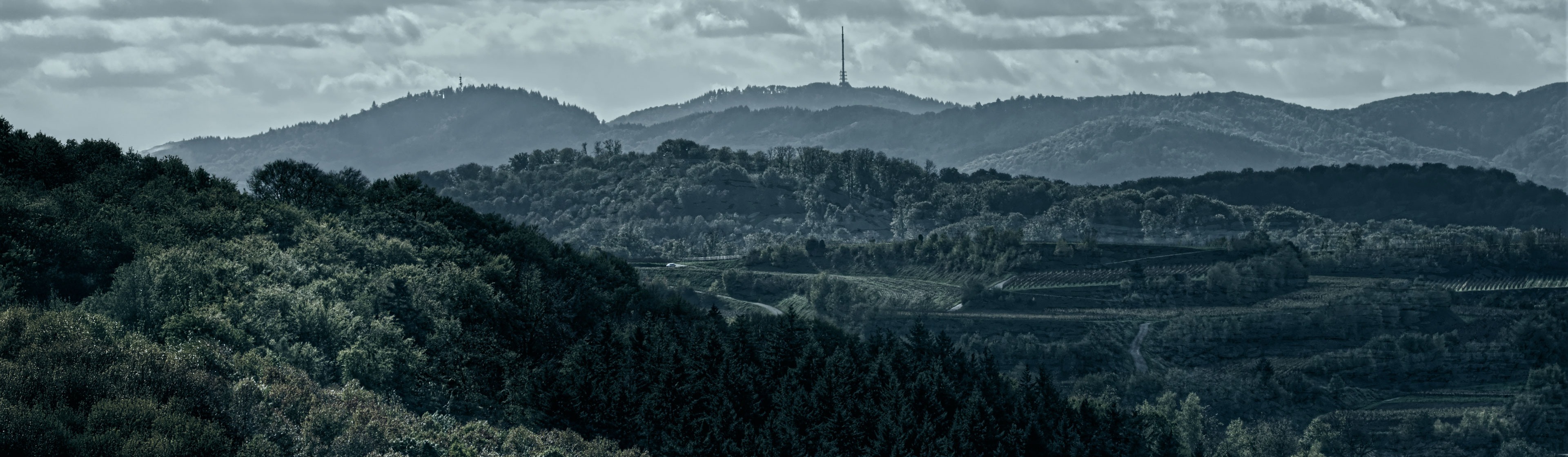 Refund of Luxembourgian VAT